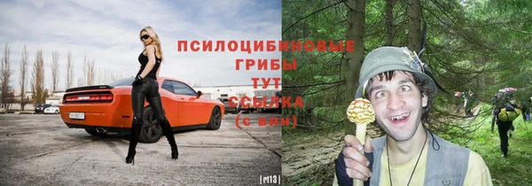 кокс Алексин