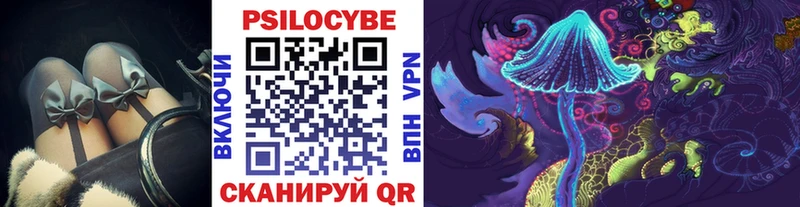 блэк спрут зеркало  хочу   Спасск-Дальний  Псилоцибиновые грибы GOLDEN TEACHER 