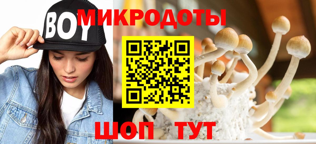 Псилоцибиновые грибы Psilocybe  Псилоцибиновые грибы прущие грибы  Вход с VPN  Спасск-Дальний 